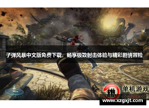 子弹风暴中文版免费下载，畅享极致射击体验与精彩剧情冒险